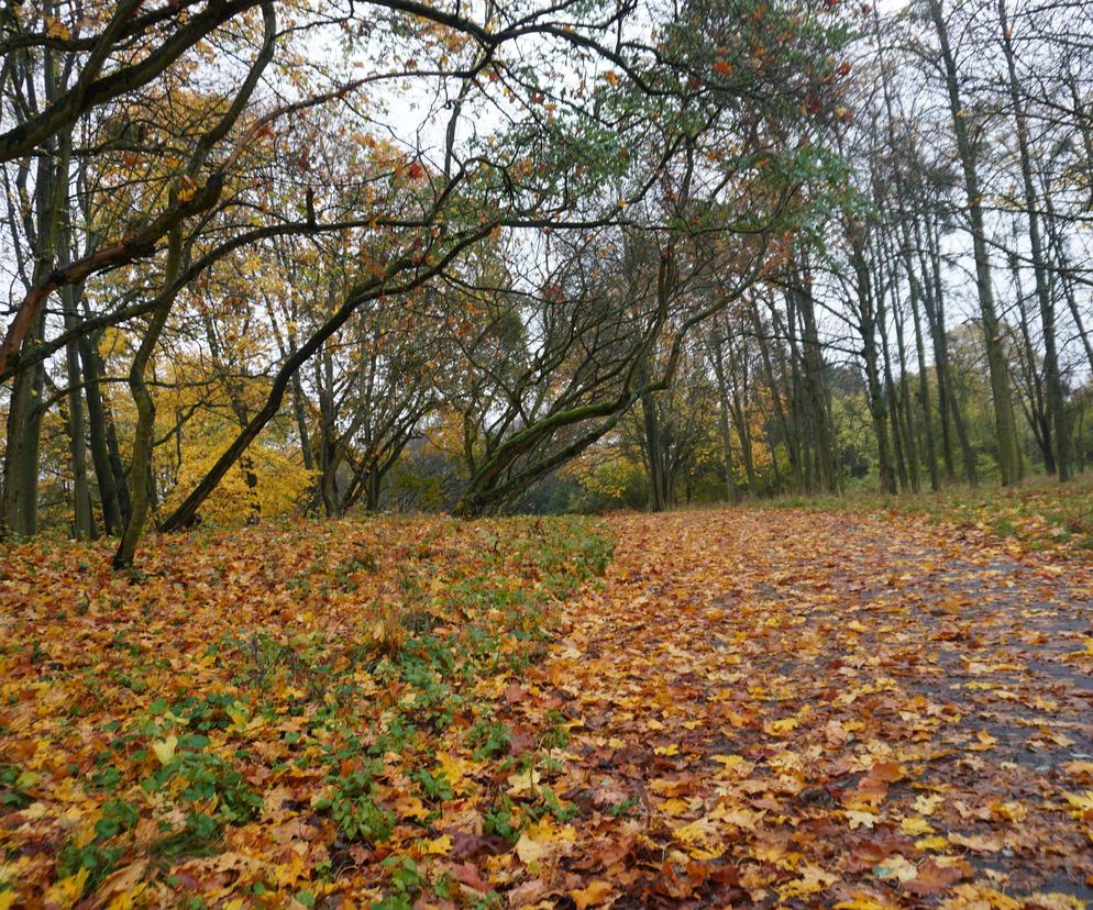 Cytadela Jesienią