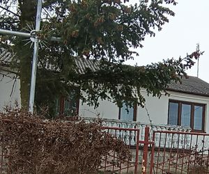 Makabra pod Sokołowem Podlaskim. Wnuczek zatłukł dziadka popielniczką! Nie pójdzie do więzienia