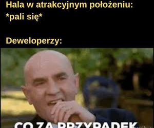 Najlepsze memy o deweloperach