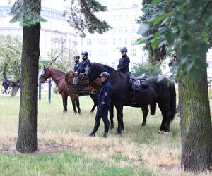 Protesty przeciwko migracji w całym kraju!