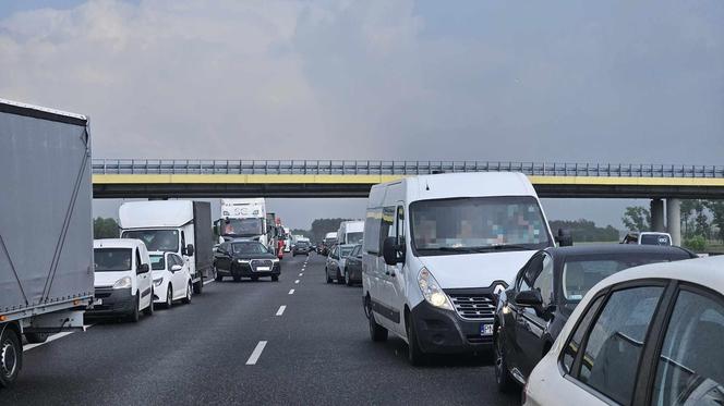 Groźny wypadek na autostradzie A2 w Wielkopolsce. Na miejscu lądował śmigłowiec LPR