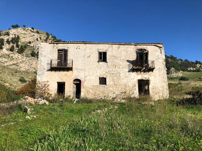 Stefano Terrazzino. Tu na razie jest ściernisko