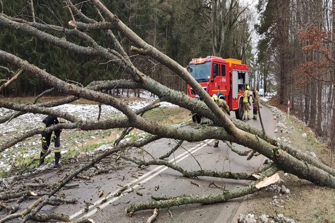 Wichury do 184 km/h. Niszczycielski żywioł, tutaj wiało najmocniej!