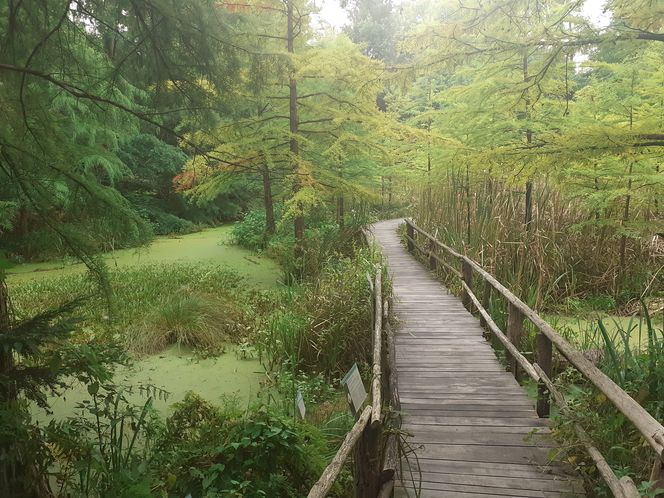 Arboretum Bolestraszyce