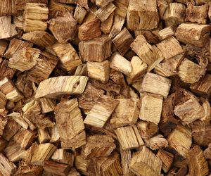 Korzeń kudzu to naturalny środek do walki z nałogiem. Reguluje trawienie i ciśnienie krwi