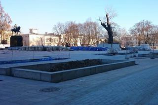 Baobab umiera? Czy złamana gałąź to koniec wieloletniego symbolu Lublina? [AUDIO]