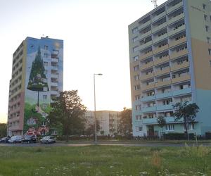 Murale w Bydgoszczy