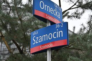 Chcemy chodnika i autobusu. Mieszkańcy ul. Szamocin na Białołęce apelują do urzędników