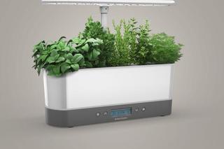 AeroGarden Harvest Elite