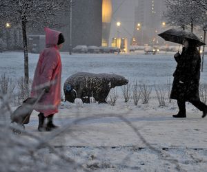 Intensywne śnieżyce wracają do Polski. Znamy datę