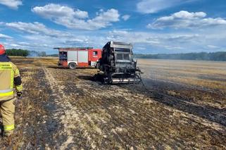 Lubelskie: Kolejny pożar ścierniska. Tym razem z dymem poszło 5 ha