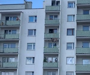 Horror w Toruniu. Mężczyzna zawisł na ósmym piętrze
