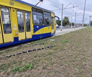 Tory prowadzą na trawnik. Taki widok przy ul. Legionów w Toruniu