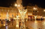 Bydgoszcz: Choinka z Borów Tucholskich stanęła na Starym Rynku