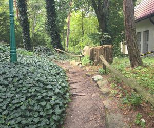 Letni spacer w zielonym sercu Bydgoszczy. Ogród Botaniczny UKW zaprasza!