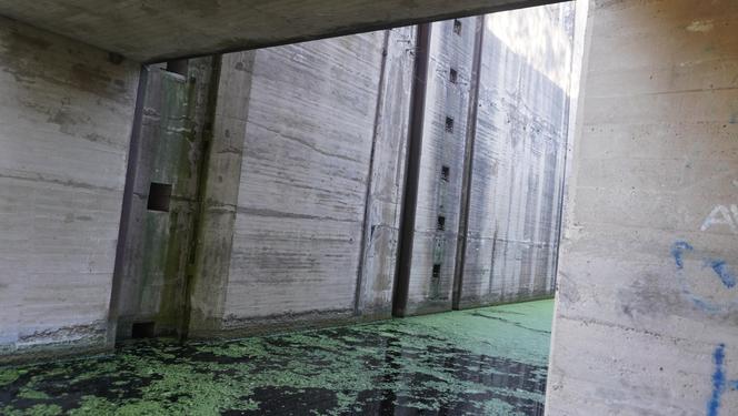 Monumentalna śluza Leśniewo z symbolami III Rzeszy ukryta w mazurskim lesie. Jest owiana tajemnicą [ZDJĘCIA]