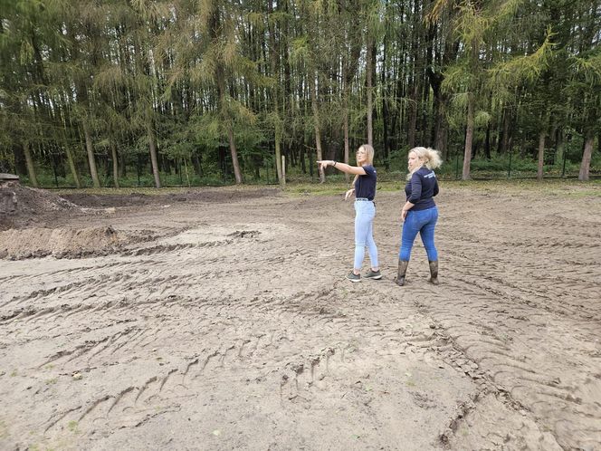 Nutrie w Rybniku są już odławiane