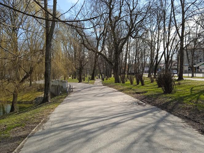 Wiosna w Kielcach. Coraz więcej zieleni i spacerowiczów w parku miejskim