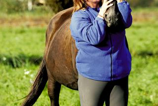 Odnalazłam konia po 7 latach