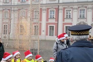 Poznańskie koziołki w świątecznych kubrakach