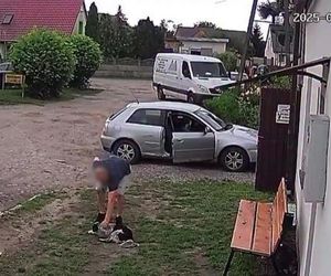 Złapał psa i rzucił nim o ziemię. Wstrząsające nagranie obiegło sieć