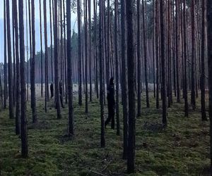 Starsza pani zgubiła się w lesie na grzybach w pow. górowskim. Szukano jej ponad 5 godzin