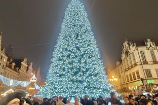 Największa choinka we Wrocławiu już rozświetlona! Tłumy powitały Świętego Mikołaja 