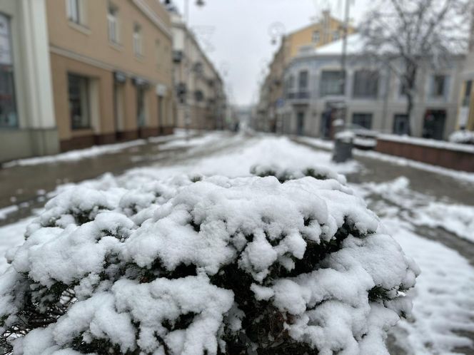 Zima w Świętokrzyskiem . Kielce (22.11.2024)