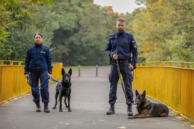 Pełnią służbę w policji i dbają o bezpieczeństwo poznaniaków! 