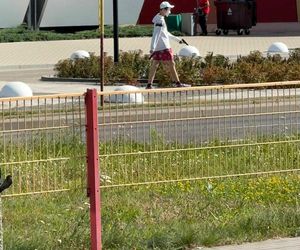 Niepokojący widok koło CH Toruń Plaza. Był w masce, a w rękach miał to