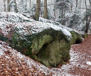 To miejsce, o którym mało kto wie. Miał tu stać zamek z lochami ciągnącymi się 40 km. Teraz docierają tu nieliczni  