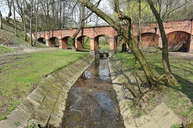 Pieczona kiełbaska bez mandatu. Gdzie rozpalić ognisko lub grilla w Warszawie? [PRZEGLĄD MIEJSC]