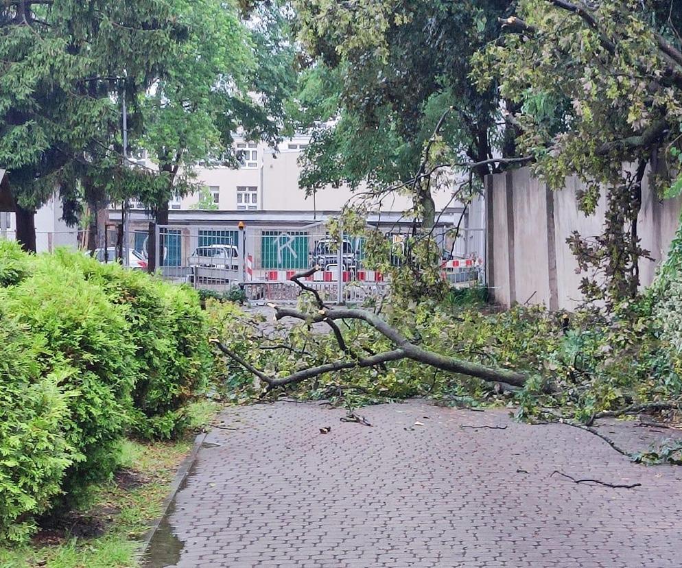 Ukryte życie parafii 28 czerwca 2024 r.