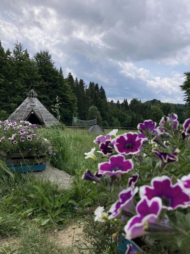 Bacówka Nad Wierchomlą w Beskidzie Sądeckim. To prawdziwy turystyczny hit!