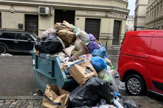 Raj dla szczurów w centrum Wrocławia. Z pięknej ulicy zrobiło się śmierdzące wysypisko śmieci 