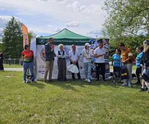 Festiwal Przyjaciół Zwierząt w Olsztynie. Park Centralny opanowały radosne pieski