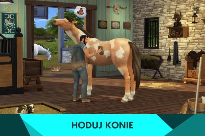 The Sims 4: RANCZO. Kiedy premiera? Gdzie kupić nowy dodatek do The Sims 4? CENA