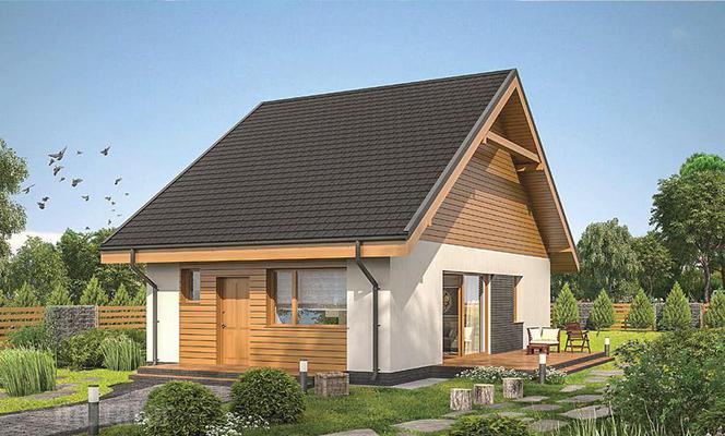 Projekty domów bez garażu