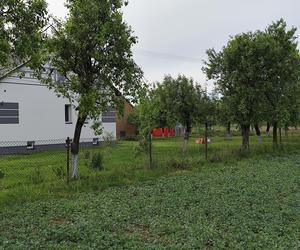 Szokująca śmierć dwóch dziewczynek. Sąsiedzi widzieli w nocy płonące ognisko