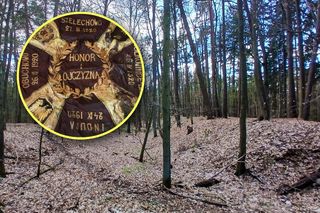 Sensacyjne odkrycie pod Tomaszowem Lubelskim. Płat sztandaru 4. Pułku Strzelców Podhalańskich odnaleziony po 85 latach!