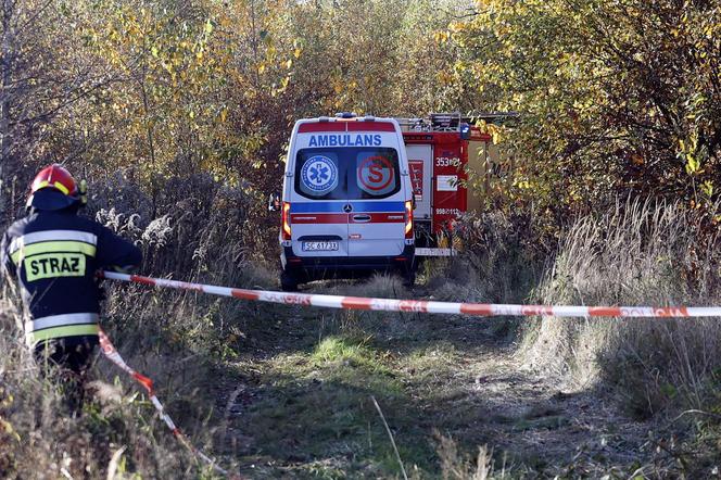 Katastrofa lotnicza w Kościelcu. Szybowiec spadł do lasu, nie żyją dwie osoby [ZDJĘCIA]