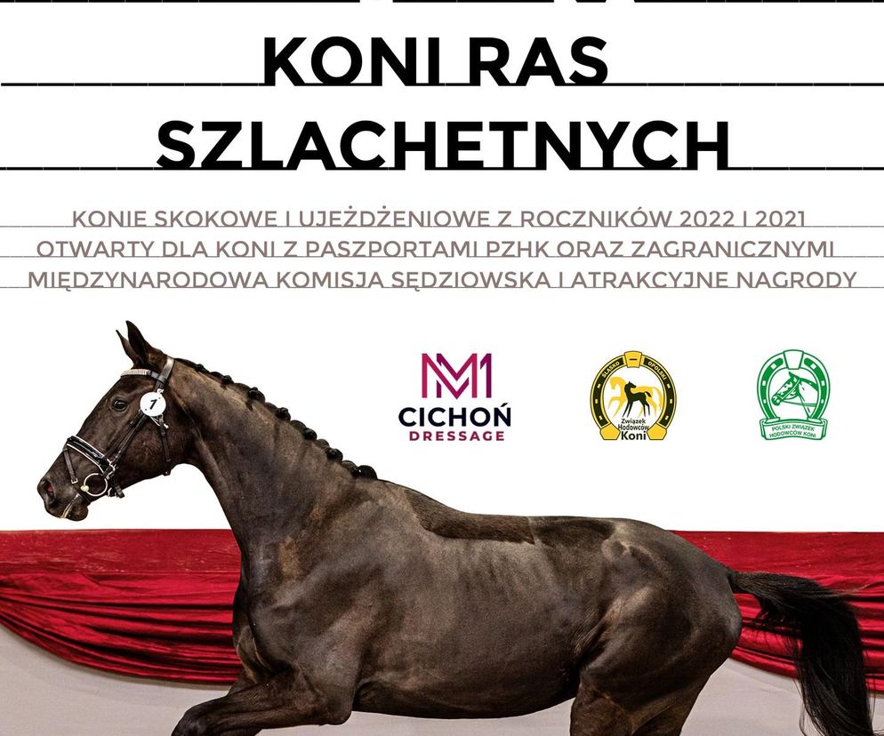 Tani weekend 31stycznia-2 lutego w woj. śląskim. Darmowe imprezy w Katowicach i okolicach	