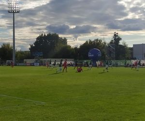 Warta Poznań - Zagłębie Sosnowiec