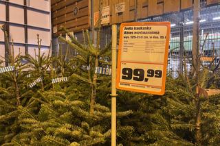 Gdzie kupić choinki w Krakowie? Znamy ceny
