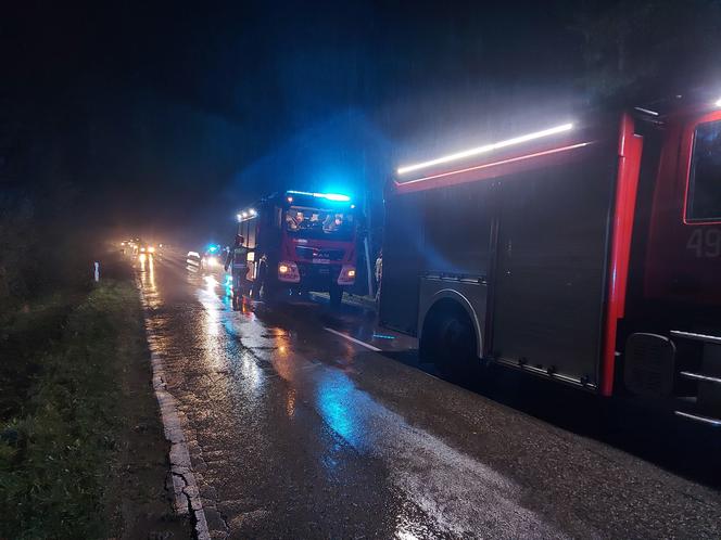 Wypadek w LESIE RZEPIŃSKIM, Mercedes i BMW w rowach. Za kierownicą młodzi ludzie