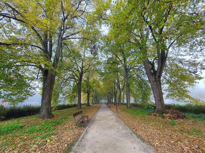 Zamojski Park jesienią