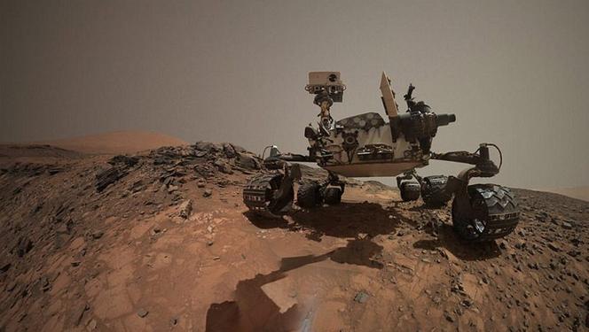 Kosmiczne grzyby na Marsie! Szokujące odkrycie naukowców