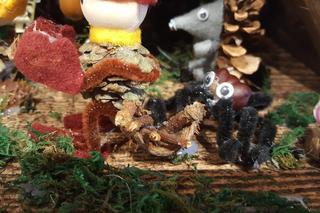 Wystawa szopek bożonarodzeniowych 