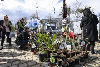 Festiwal mody, słodkości i roślin. Zobaczcie, jak się bawiliście w Czasoprzestrzenii! [GALERIA]