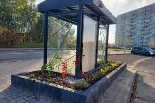 Zielone przystanki w Katowicach. Tym razem pomoże firma reklamowa 